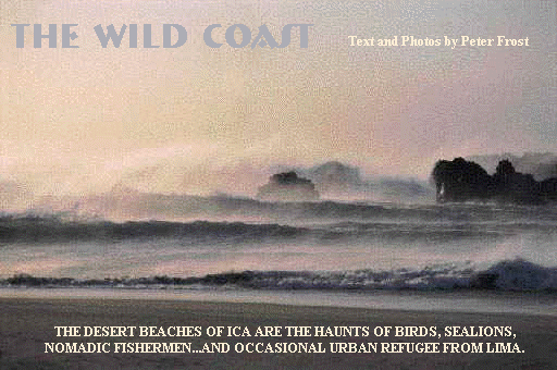 The Wild Coast