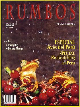 Cover Photo From Issue 11