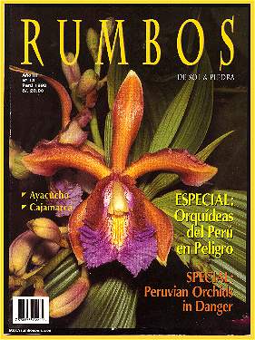13cover.jpg (5736 bytes)