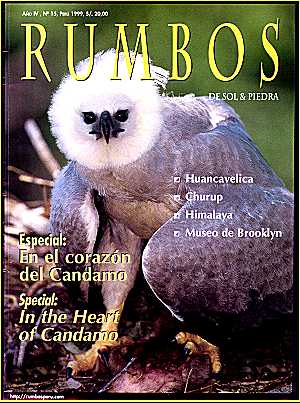 Rumbos Year IV, No. 15 1999