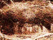 Water Lines of Nazca