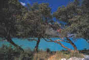 LakeChincocha in Llanganuco, Ancash