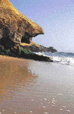  Algas marinas hacen una mancha deverde intenso en la playa de  Punta Carhuas.