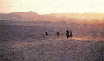 Farmers cross the valley of the River Ica