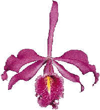 wpe33.jpg (6578 bytes)