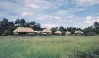 Houses in a jungle that has no frontiers.