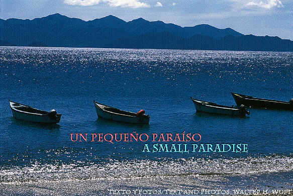 Un pequeo paraso/A Small Paradise 0 Texto y fotos/Text and Photos: Walter Wust