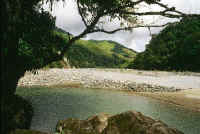 A small back water in the bend of the river.