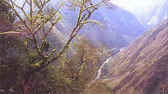 View of a path that is part of the Inca Trail