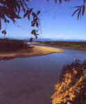 Casi ocultas en la lejana, las cumbres de las colinas del Candamo albergan uno de los territorios ms diversos del planeta.   Walter Wust