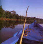En el ro Tambopata, camino al Tambopata Research Center (TRC).  Mylene D'Auriol