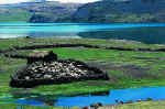 Small cabin complete with alpacas in its stone stable in a stunning setting on the shores of Choclococha Lake.   Walter Wust