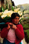 A woman with a bunch of callow lilies on her way to market.  Walter Wust