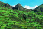 Campos cultivados en las montaas de Calquichico, a pocos kilmetros de Huancavelica, por una ruta desde Pisco.  Walter Wust