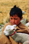 A young shepherd along the way.  Mylene D'Auriol