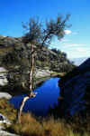 Pequeas queuales al clido color dorado del ichu constastan con la frialdad de la roca y el agua.  Mylene D'Auriol