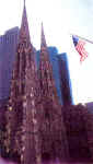 Saint Patrick's Cathedral on fifth Avenue.  Mylene D'Auriol