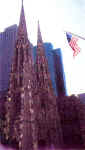 Saint Patrick's Cathedral on fifth Avenue.  Mylene D'Auriol